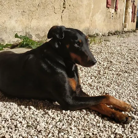 Au Manot * Sainte-Dode