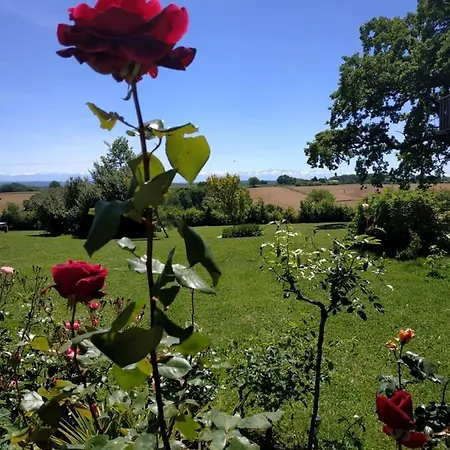 Au Manot